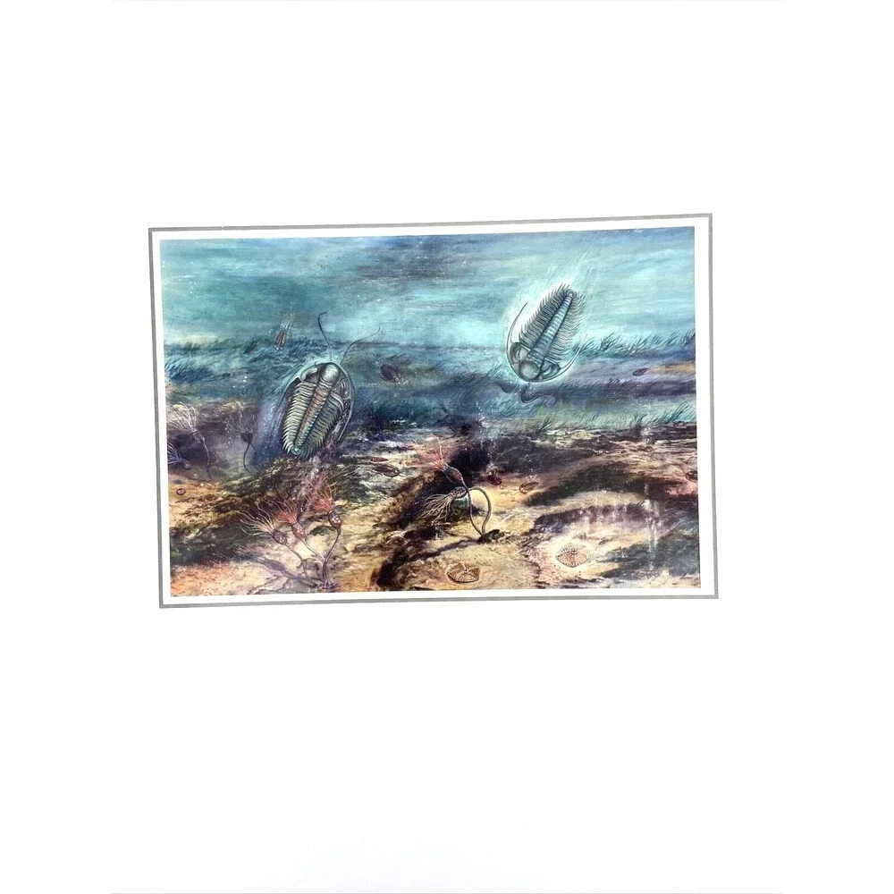 Lot of 8 Prehistoric Dinosaur Fine Art Notecards with Envelopes Josef Moravec